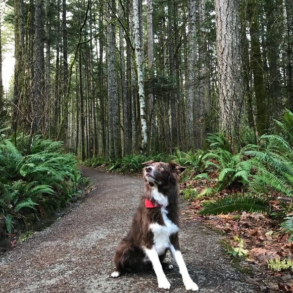 Meet your Posher, Erica - Picture 4 of 5